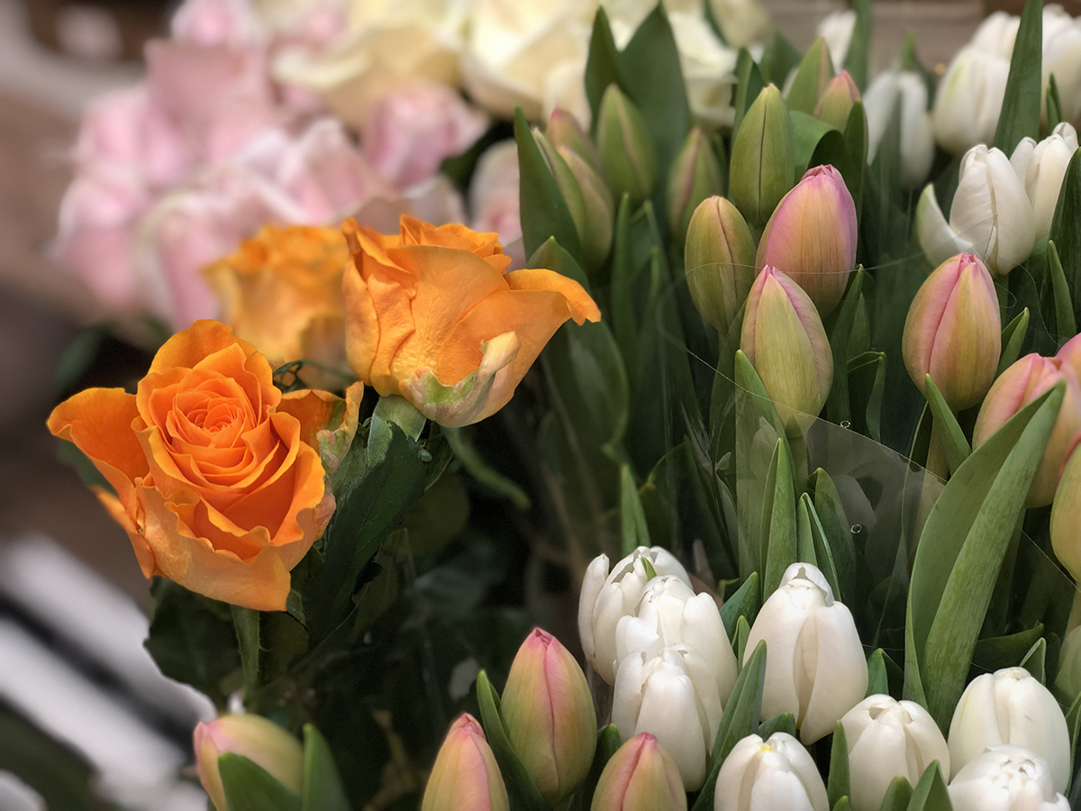 Les Commerces de la Bastide-Floral-2020-10-30-ouvert jusqua dimanche